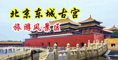 美女被大鸡巴艹锕锕锕锕啊啊网站中国北京-东城古宫旅游风景区